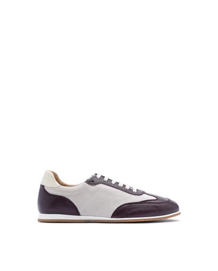 Adidași Lottusse Mancor Dama Colorati | SS01469-001